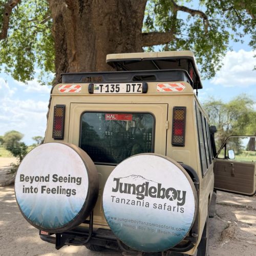 7 Days Safari in Nyerere, Mikumi and Ruaha National Park