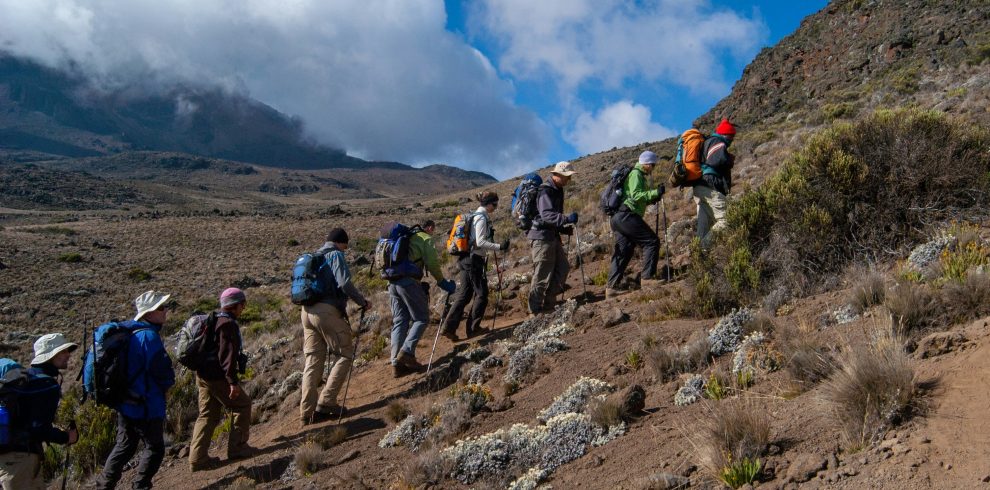 Mount Kenya Day Hike from Naro Moru