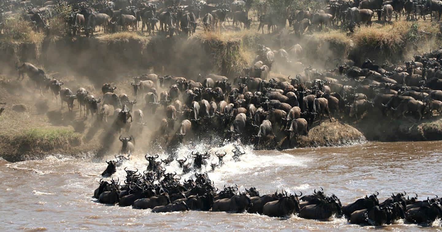 3day masai mara safari from nairobi
