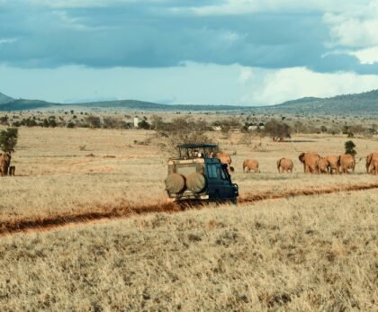 2 days Tanzania sharing safari
