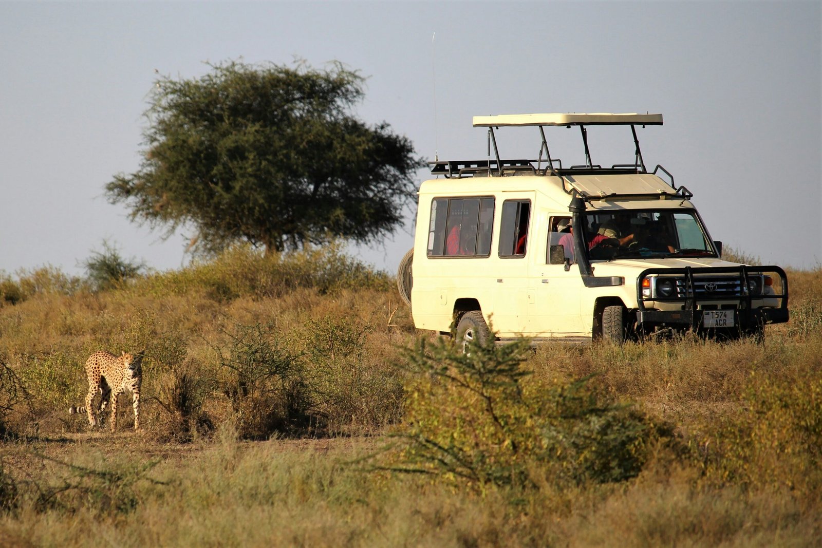 Perfect 3 Days Tanzania Luxury Safari