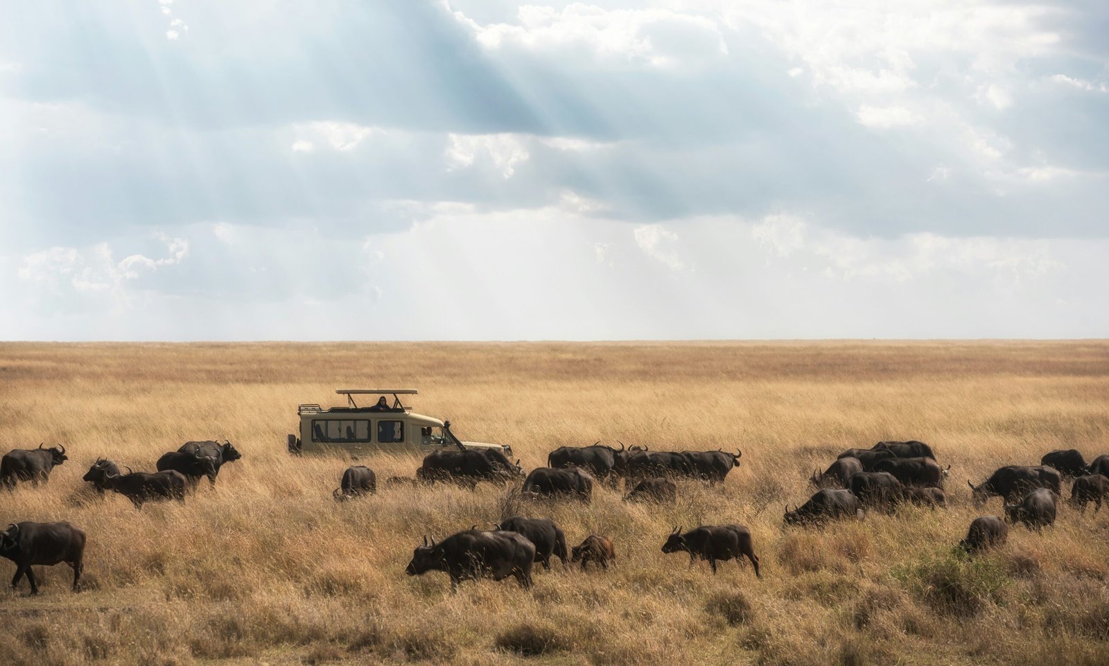 6 Days Tanzania Safari