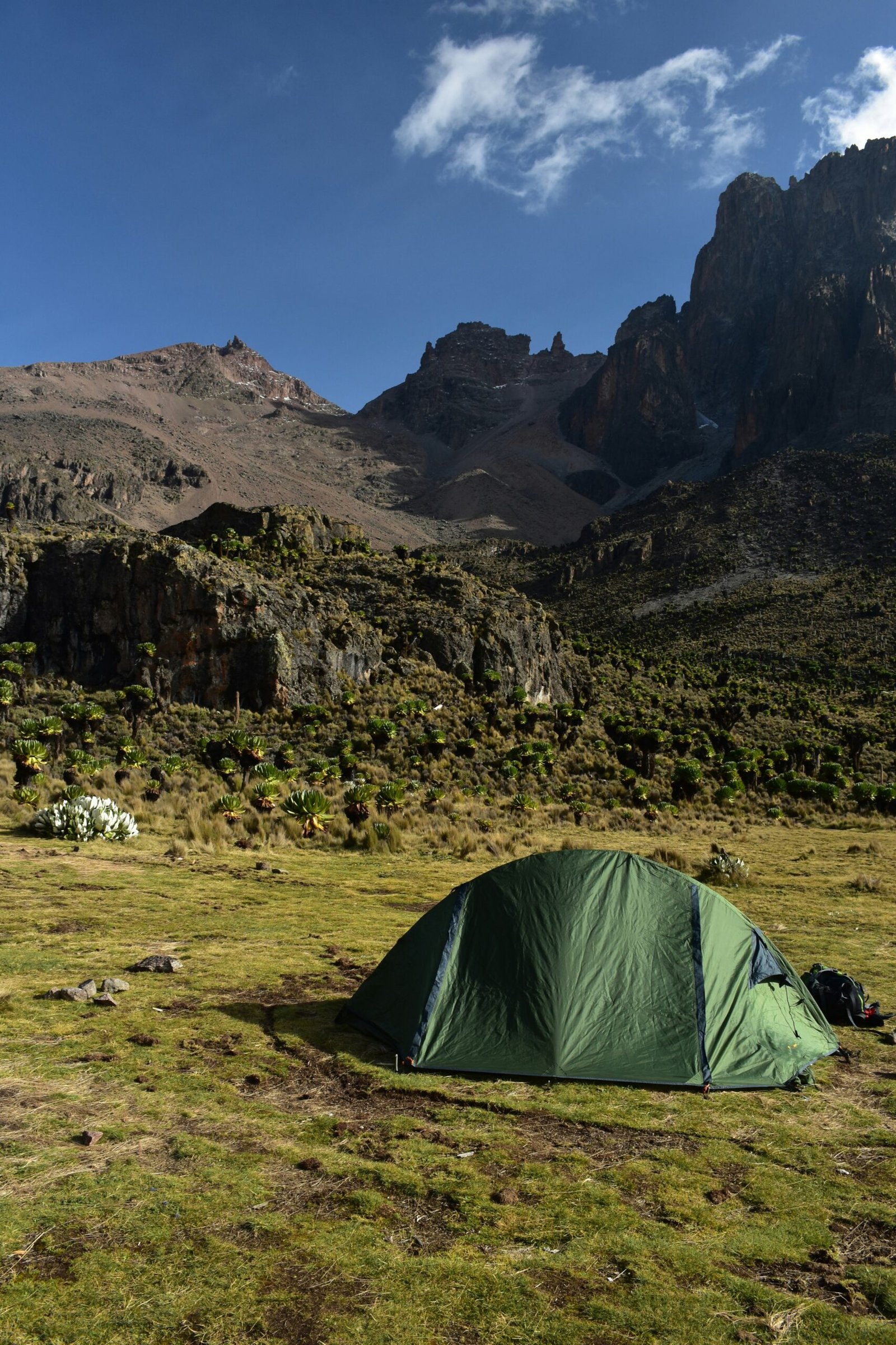 Lemosho route Success Rate Kilimanjaro climb