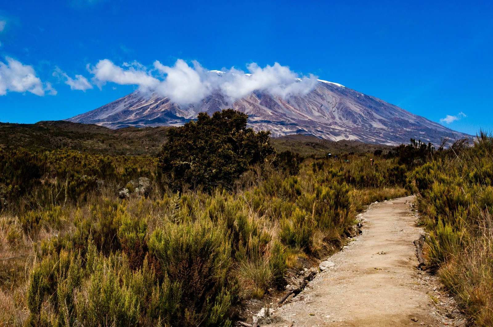 5 DAYS MARANGU ROUTE NEW YEAR TREKKING & HIKES KILIMANJARO