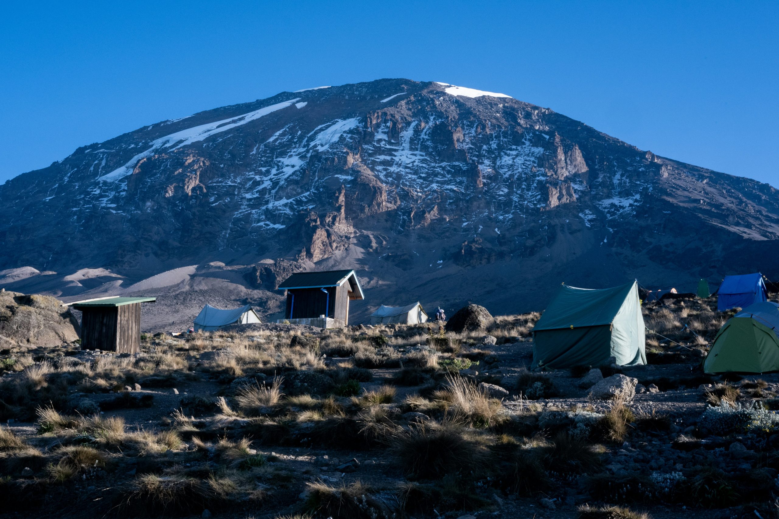 8 Days Kilimanjaro luxury climbing Lemosho route