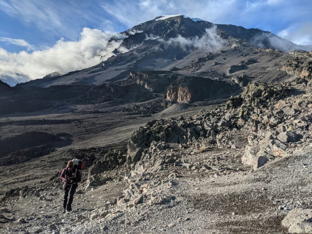 Machame route summit Success Rates