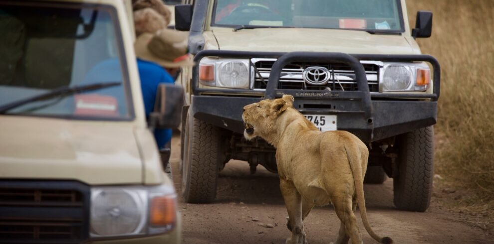 6 Days Tanzania group sharing safari Tour