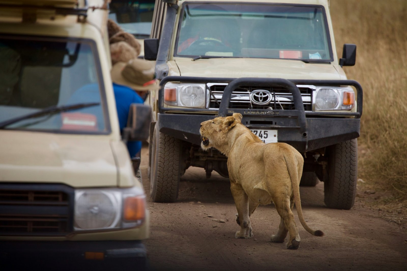 6 Days Tanzania group sharing safari Tour