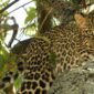 7 Days Tanzania safari Package Itinerary