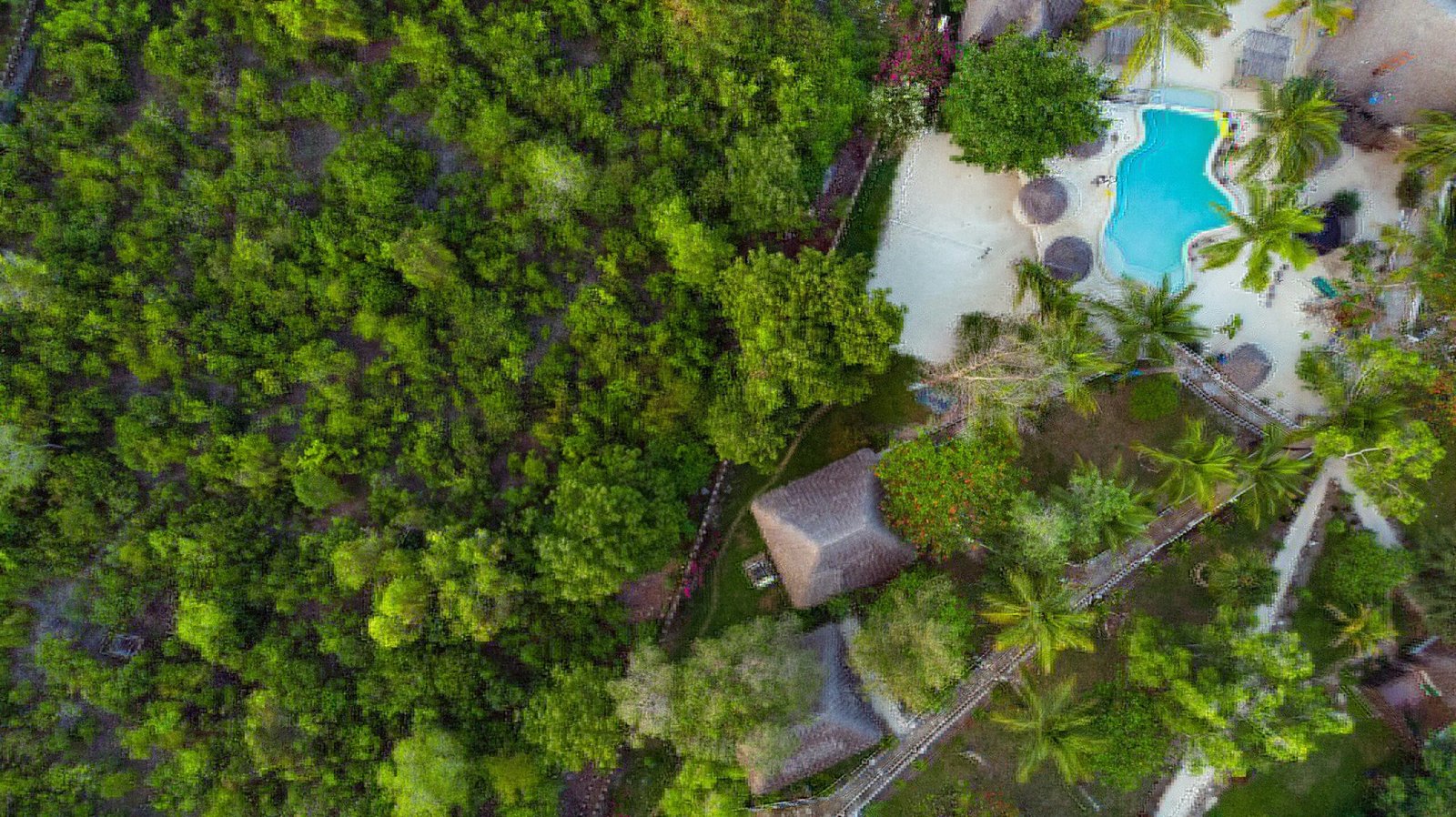 What to do in Zanzibar for 3 days?
