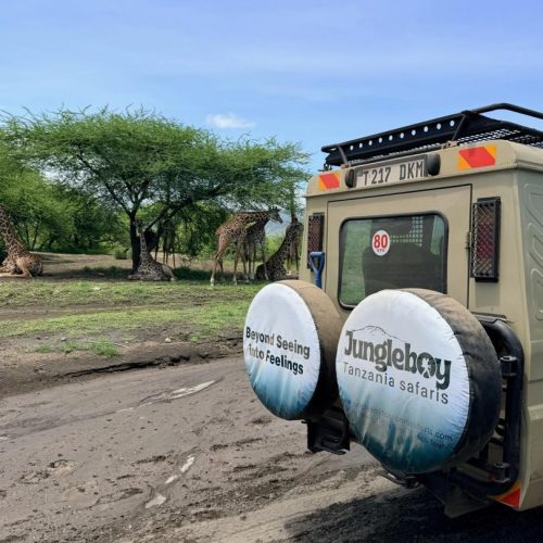 4 Days Tanzania Luxury Wildlife Safari