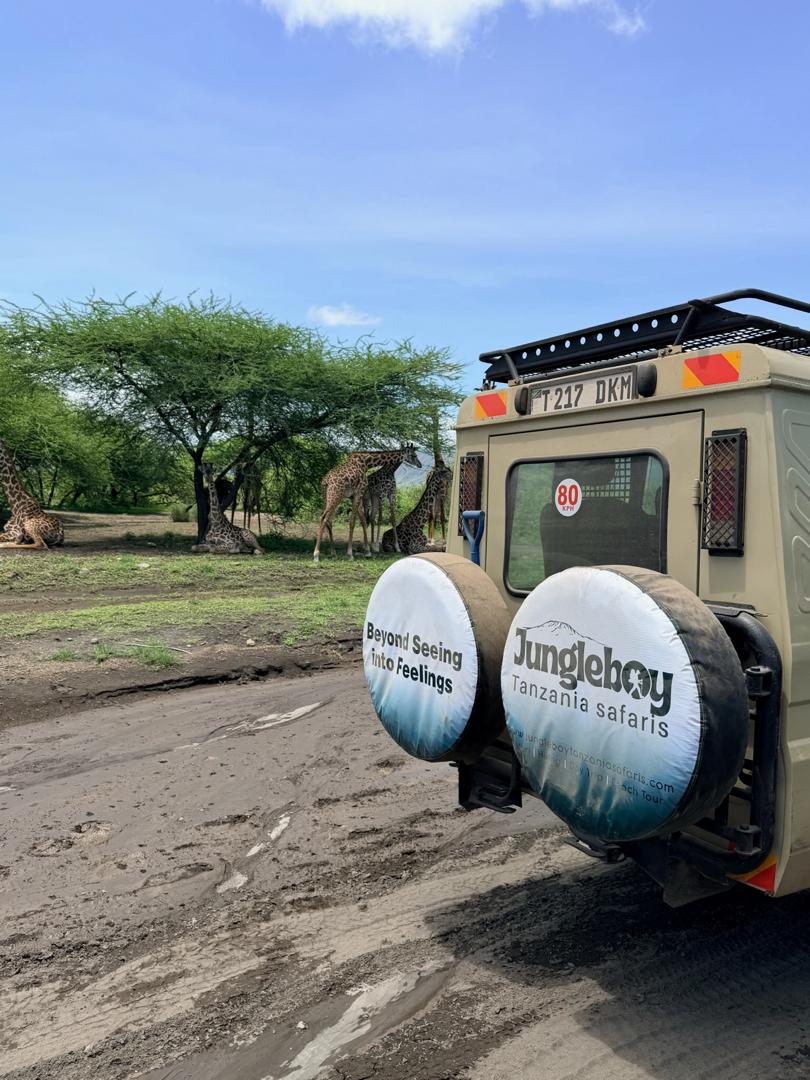 4 Days Tanzania Luxury Wildlife Safari