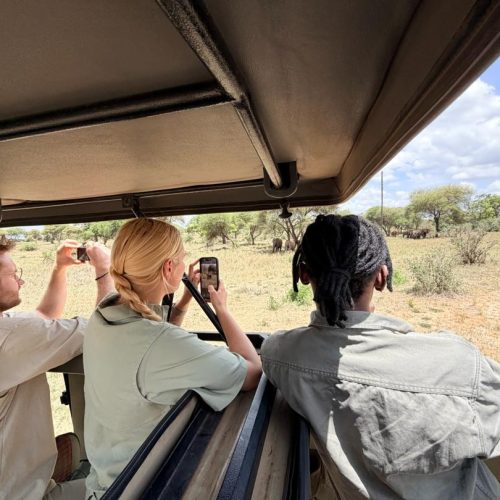 4 Days Tanzania Group Join Safari Tarangire, Serengeti