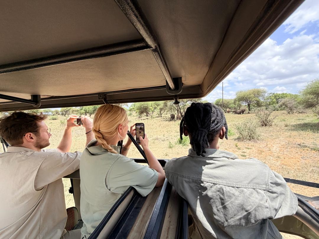 4 Days Tanzania Group Join Safari Tarangire, Serengeti