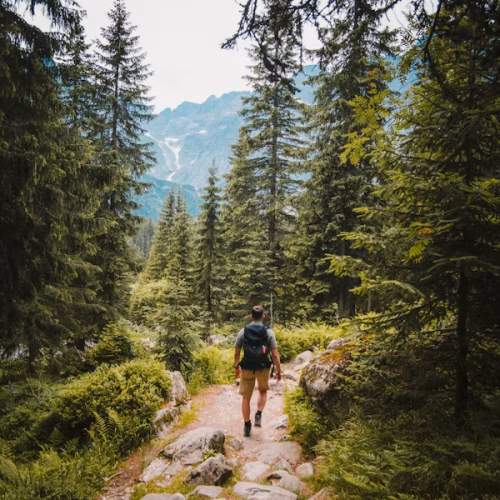 3 days Mount Bisoke and Karisimbi Hiking