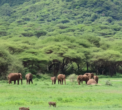 2 Days Semuliki and Queen Elizabeth National Park