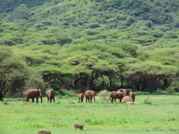 2 Days Semuliki and Queen Elizabeth National Park