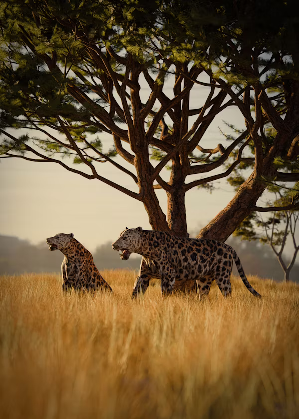 13 days Kenya and Tanzania luxury safari