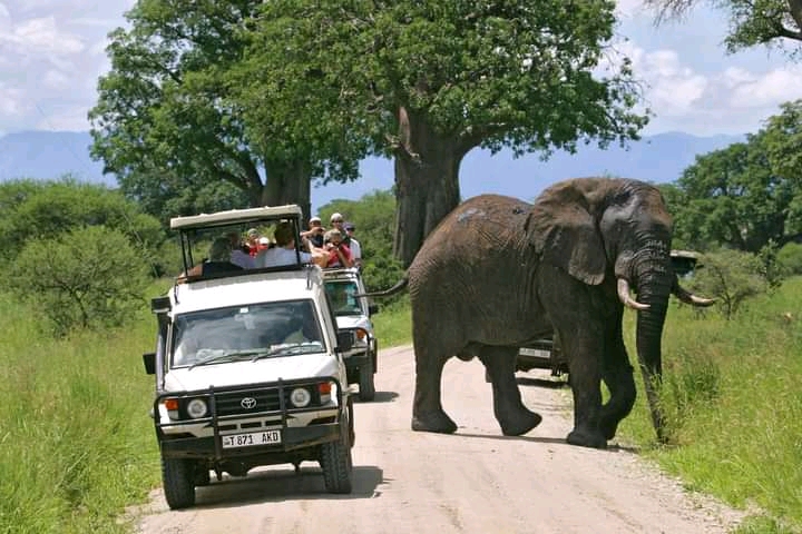4 Days Tanzania Honey Moon Safari