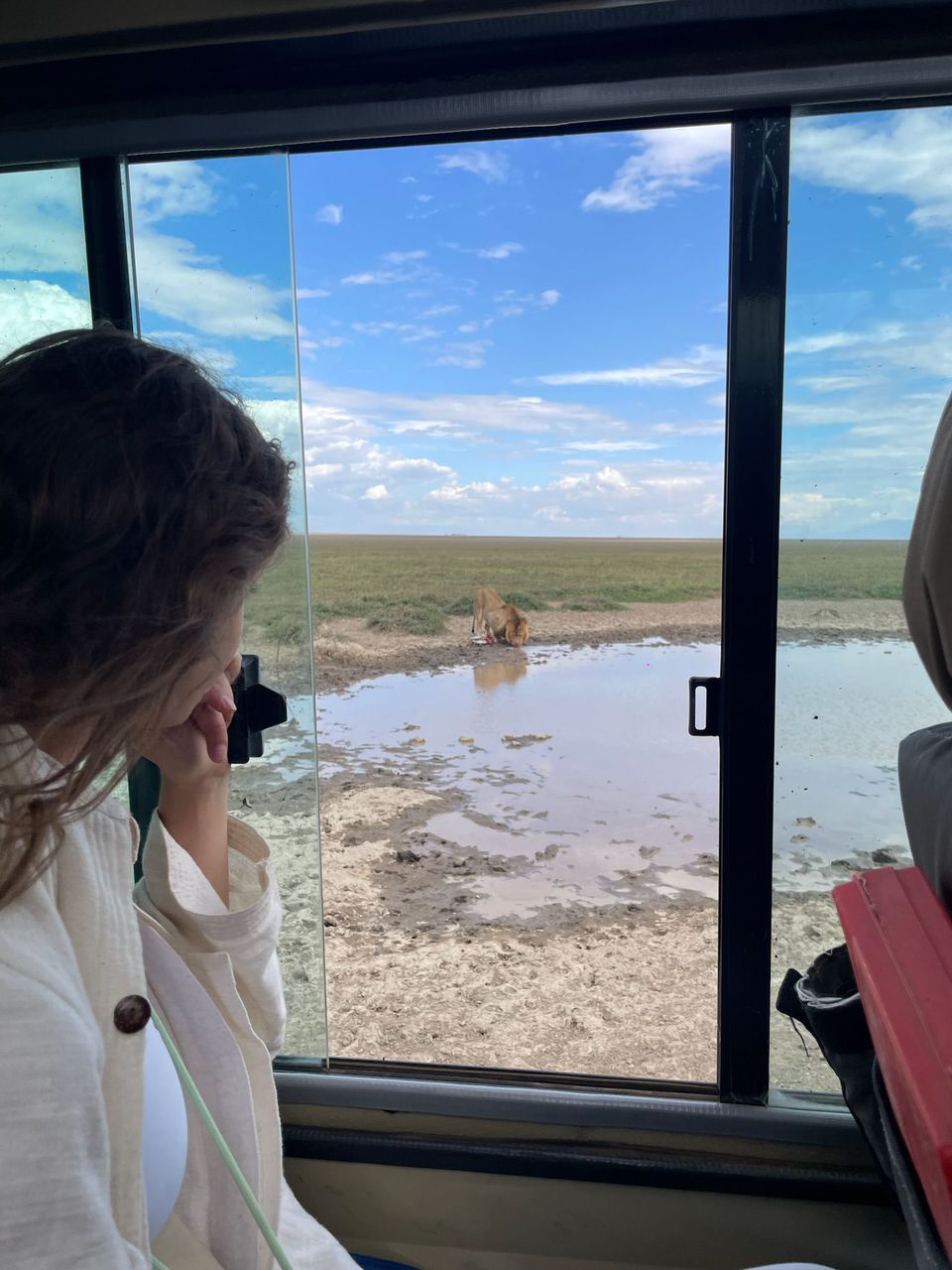 3-Days Serengeti Safari from Arusha - Drive In and Drive Out