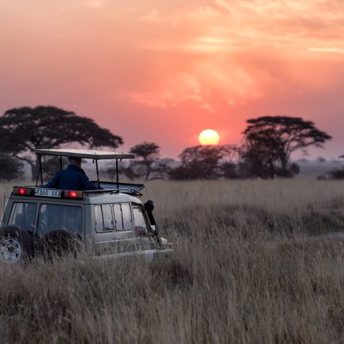 2-Day Mikumi National park Safari from Dar es Salaam