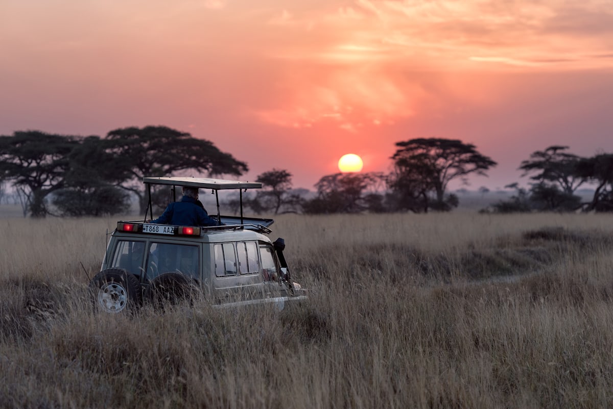 2-Day Mikumi National park Safari from Dar es Salaam