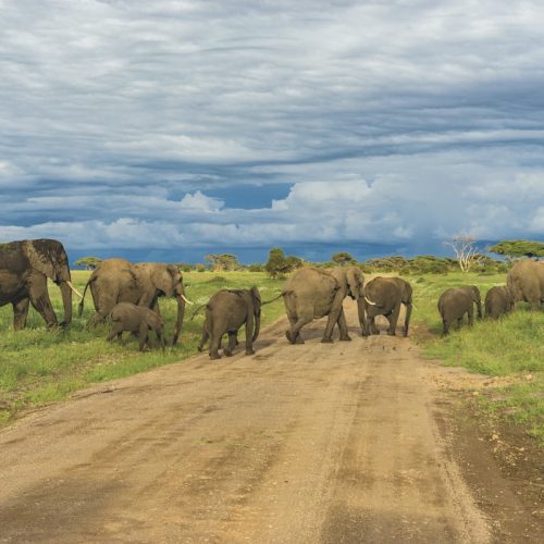 3 DAYS ARUSHA TO LAKE MANYARA BIKING TOUR