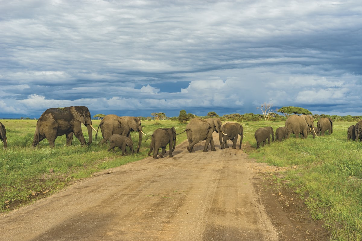 3 DAYS ARUSHA TO LAKE MANYARA BIKING TOUR