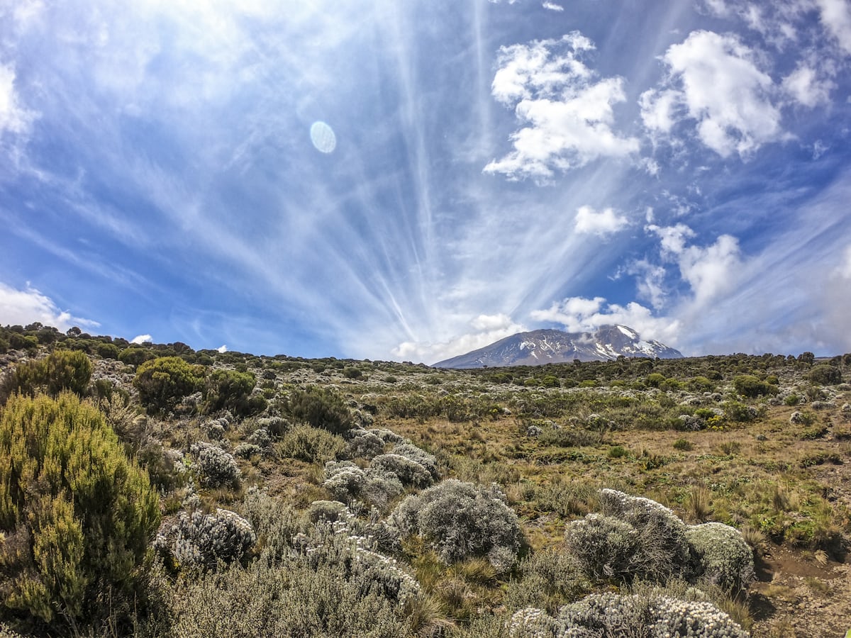 6 Days Kilimanjaro climbing Marangu route on Budget
