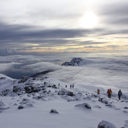 8 Days Kilimanjaro climbing Lemosho Route on Budget