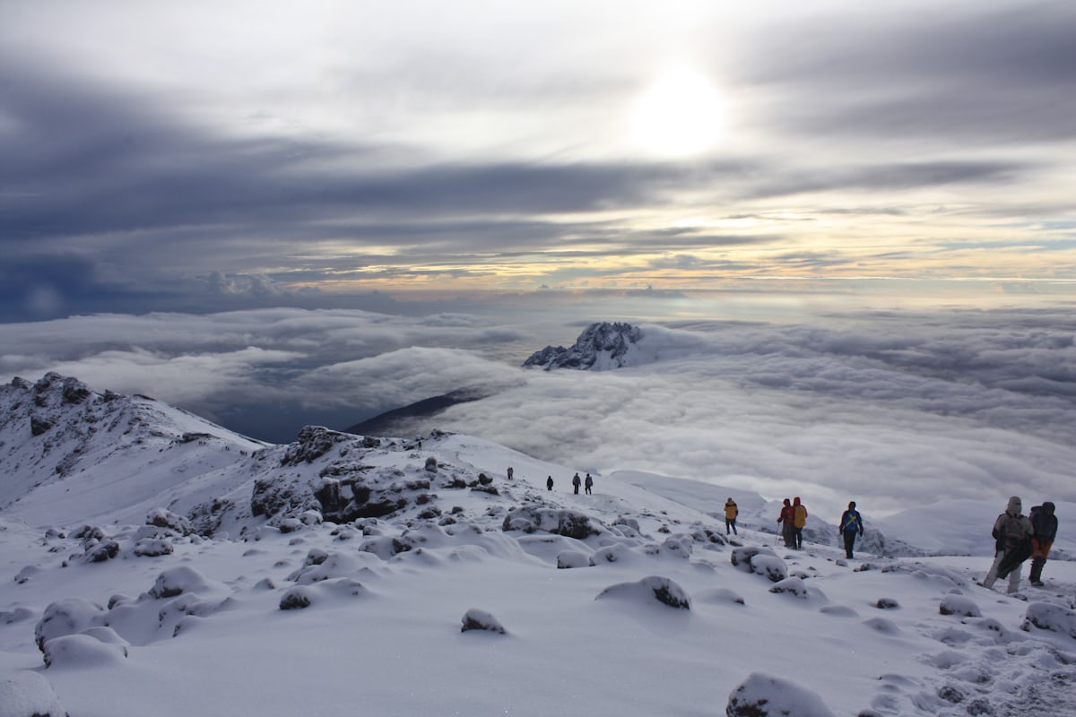 8 Days Kilimanjaro climbing Lemosho Route on Budget