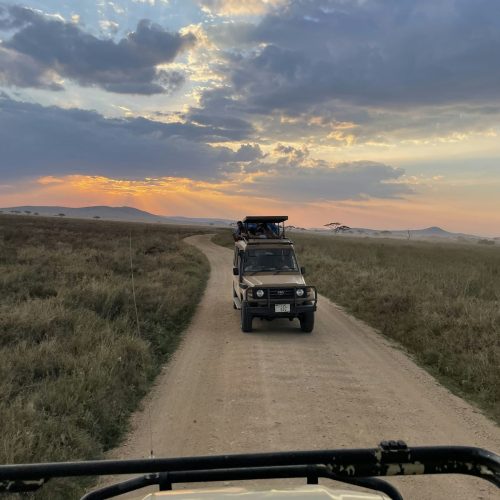 6 Days Tanzania Family Safari
