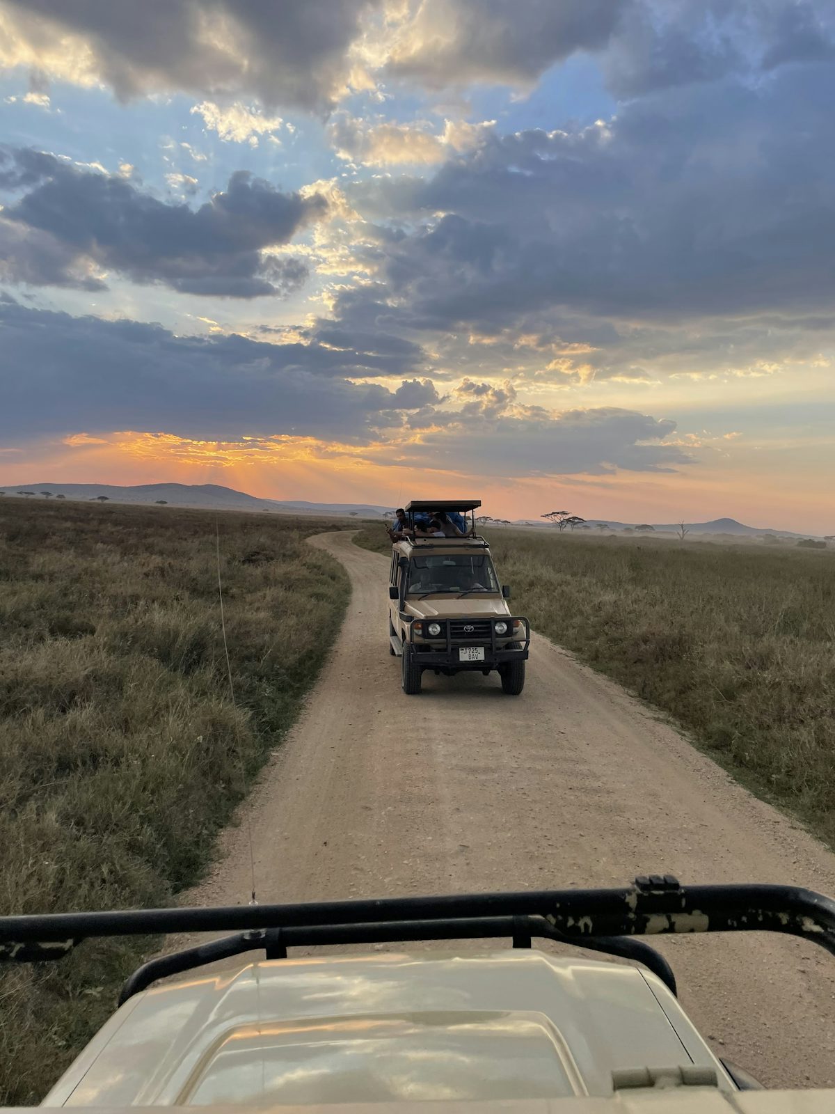 6 Days Tanzania Family Safari