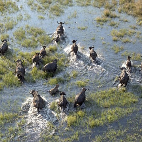 7 days Kenya Uganda and Rwanda Safari from Nairobi city