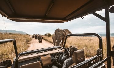 4-Day Okavango Delta Safari Tours