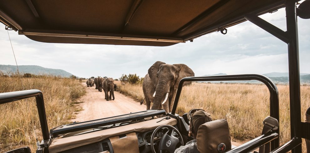 4-Day Okavango Delta Safari Tours