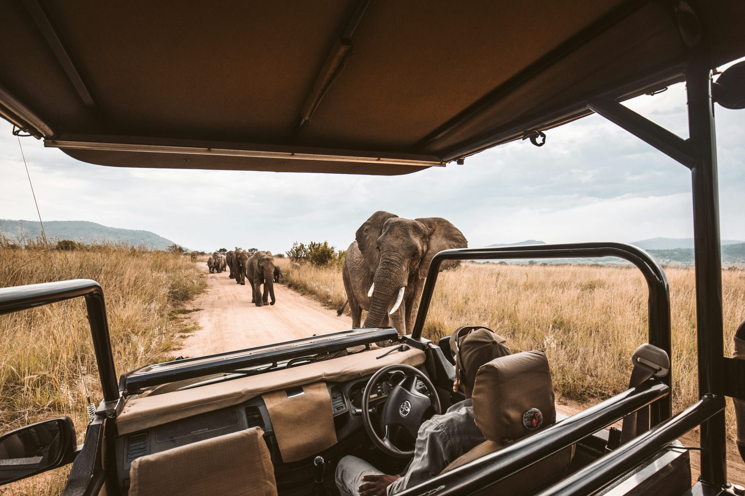 4-Day Okavango Delta Safari Tours