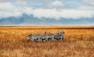 2 Days Kidepo Private Mid-Range Safari from Kampala in Uganda