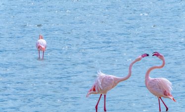 13 day dar es salaam to victoria falls camping