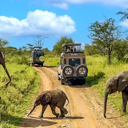 Tanzania Safaris