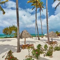 Beach side lounges and palms beside turquoise waters of the east-Southern beach of Zanzibar Island